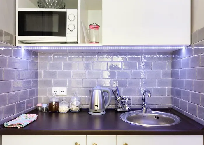 Center 3 公寓 利沃夫